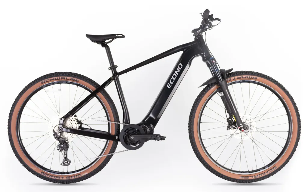 Electric bike ECONO Gams MTB 29 C6 Matt black 2026