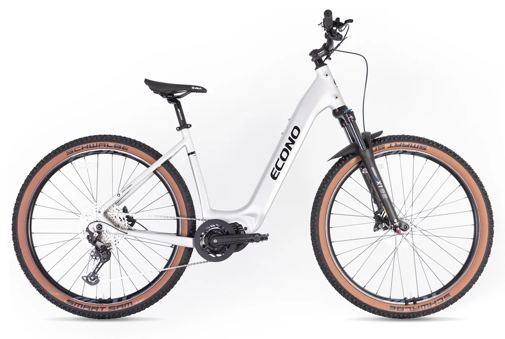 Electric bike ECONO Gams MTB 29 EEC7 Aluminum grey 2026 (L, 520Wh (15Ah))