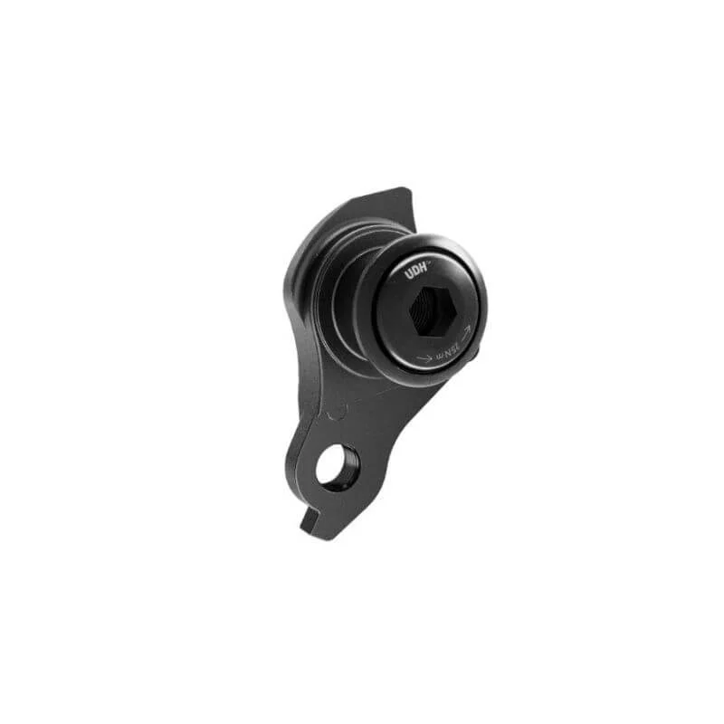 Derailleur hanger ECONO Universal UDH